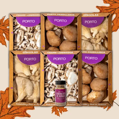 Combo Especialidades Porto G!