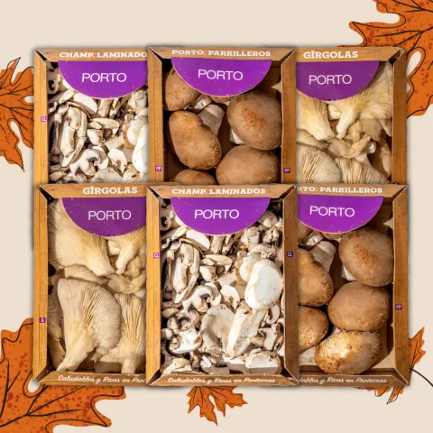 Combo Especialidades Porto!
