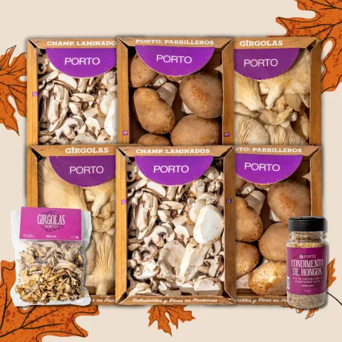 Combo Especialidades Porto Xg!