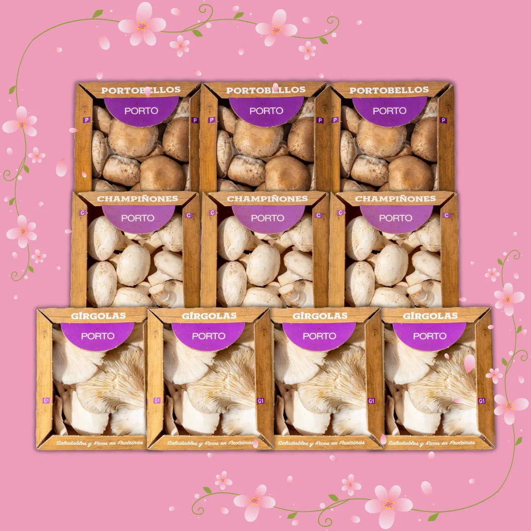 Mini Combo Girgolas!