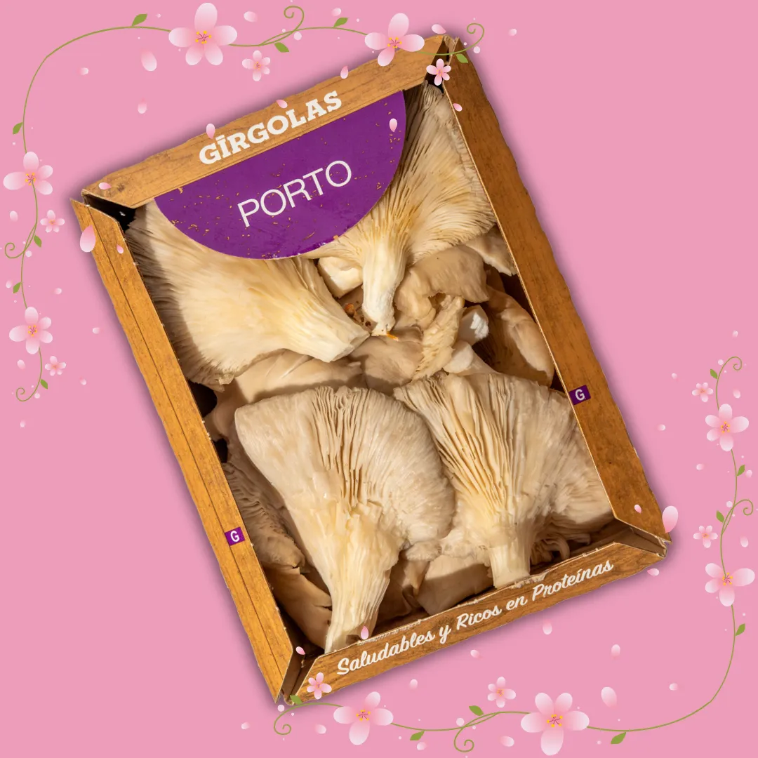 Combo Full Variedades Champi!