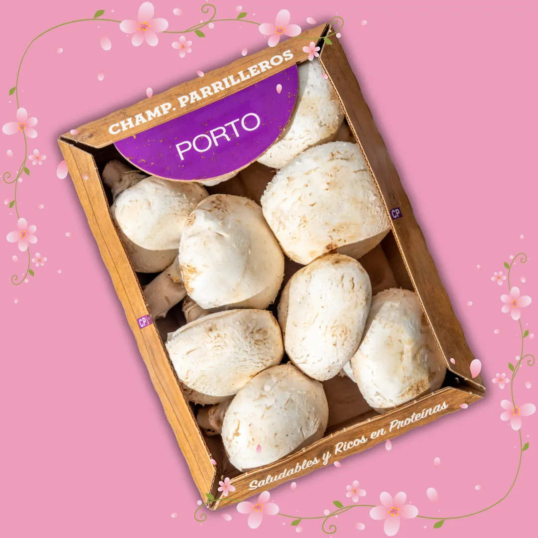 Combo Full Variedades Champi!