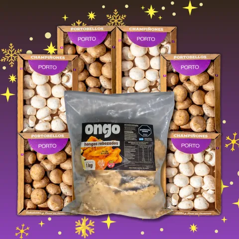 Clásico + Gírgolas Rebozadas