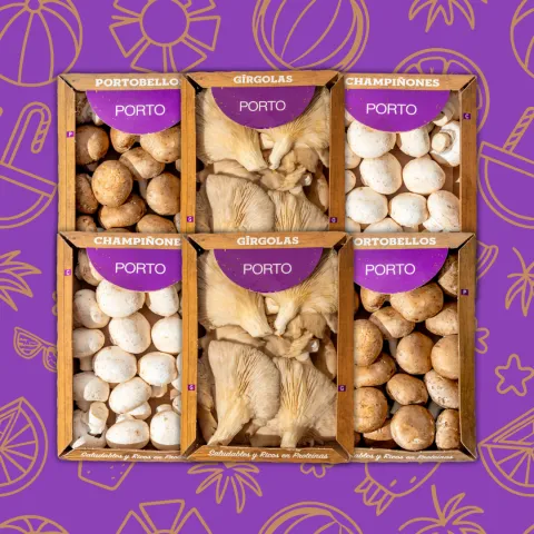 Combo Gírgolas Mediano!