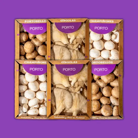 Combo Gírgolas Mediano!