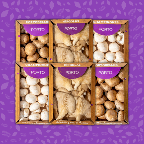 Combo Gírgolas Mediano!