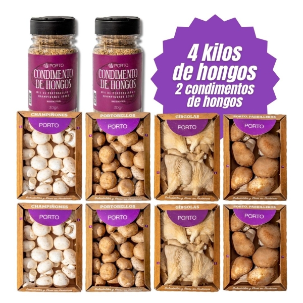 Champi + Porto + Girgolas + Parri + Condimento