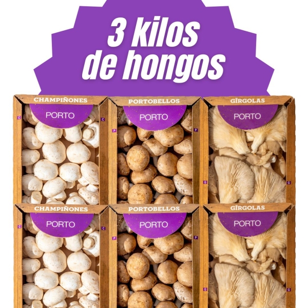 Champi + Porto + Girgolas