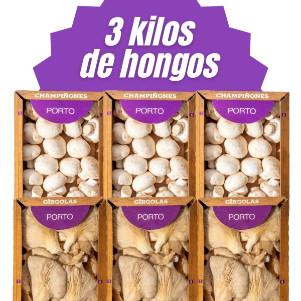 Girgolas + Champis
