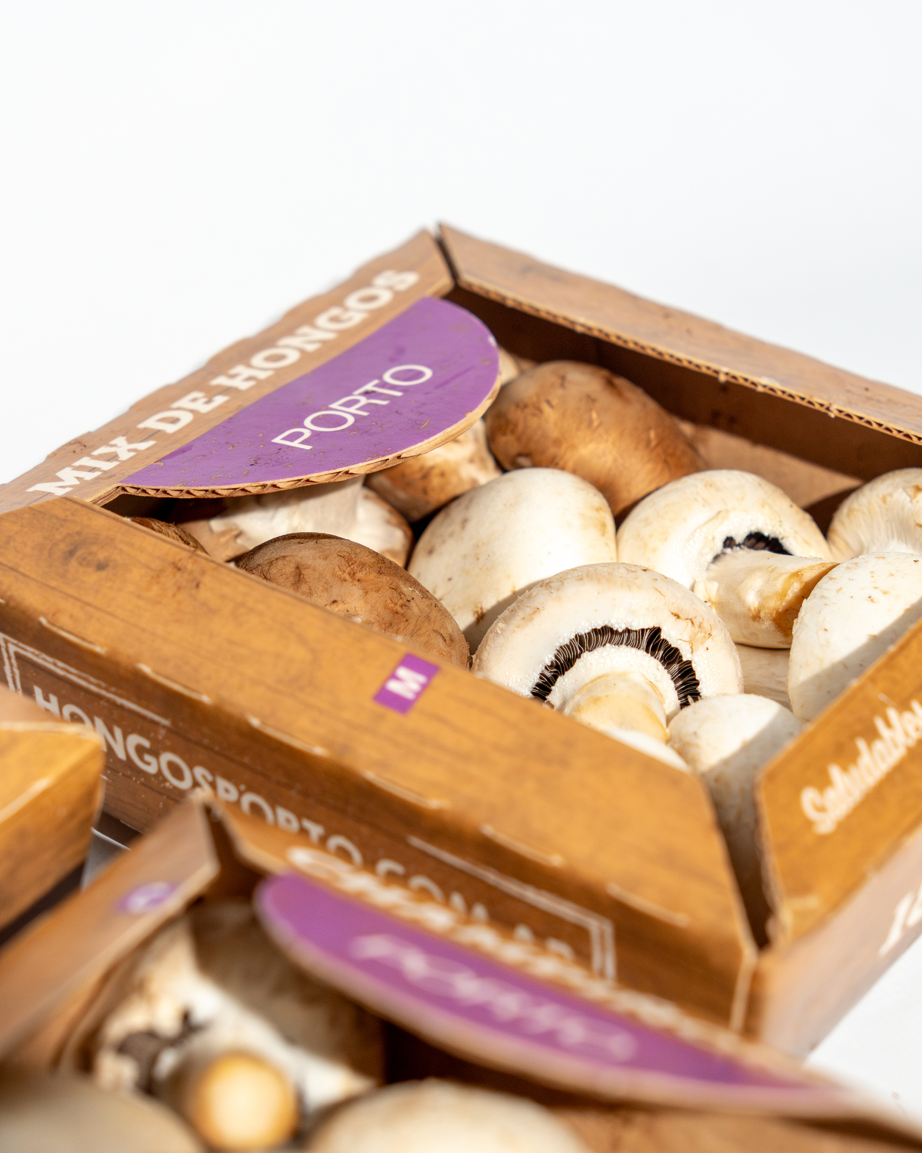 Mix de champiñones y portobellos Porto